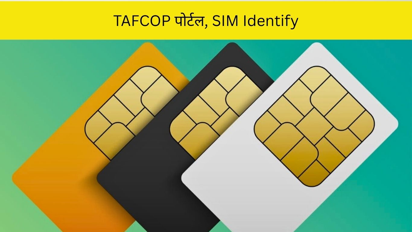 TAFCOP पोर्टल, SIM Identify
